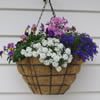 Cotswold Cottage Bed and Breakfast - Thames